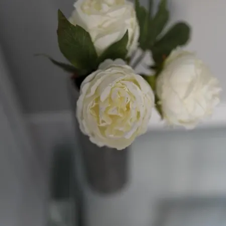 דירה Golfo Dei Poeti Retreat לה ספציה