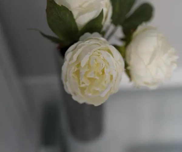 Apartment Golfo Dei Poeti Retreat La Spezia